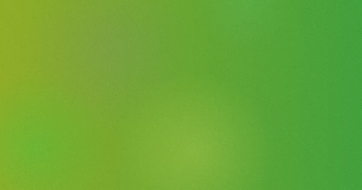 伊人五月婷婷测评避坑流程